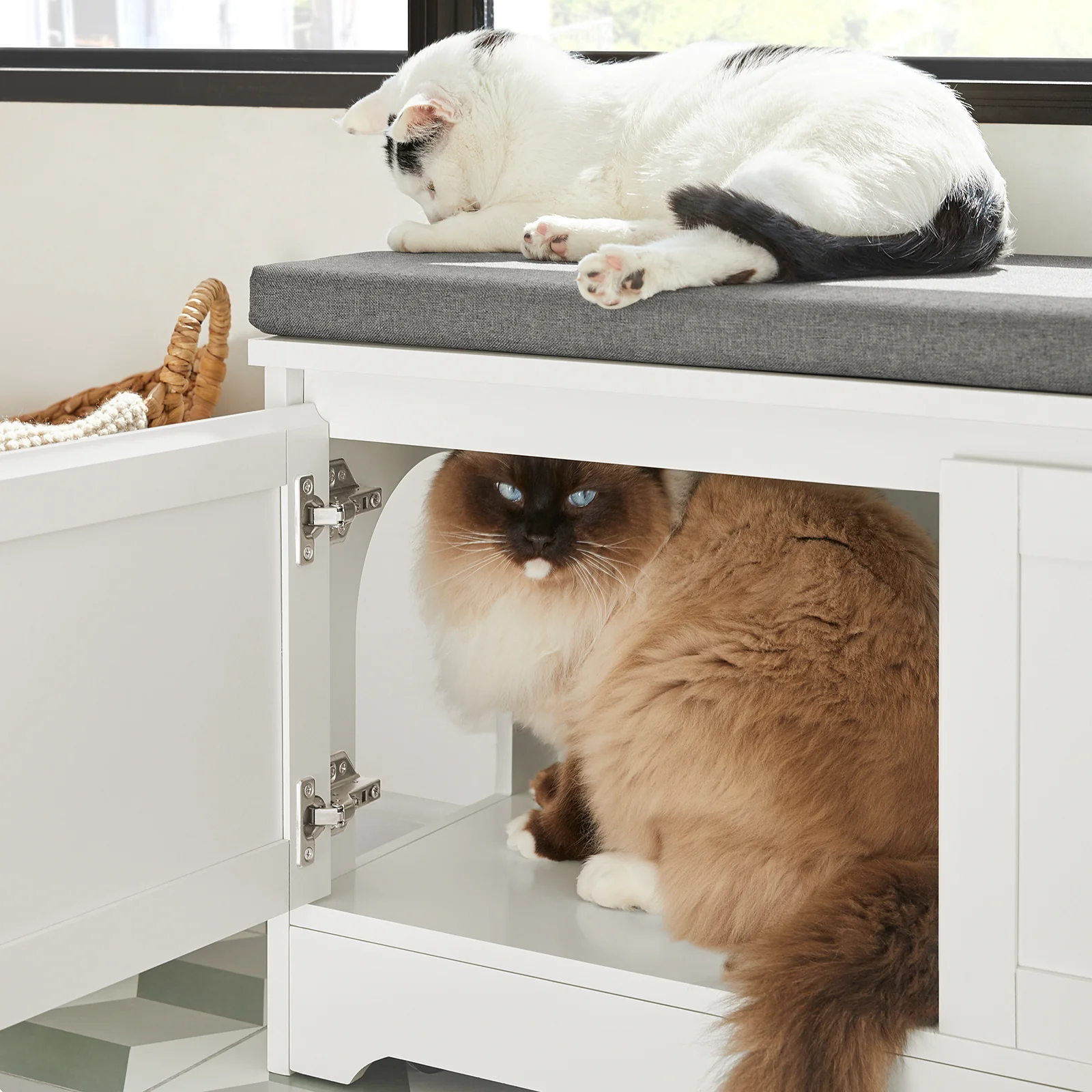 SoBuy FSR136-W Kattenhuis, Katten Bench, Kattenbak Kast, kattenbakkast, Schoenenbank, Schoenenrek, Schoenenkruk - Image 6